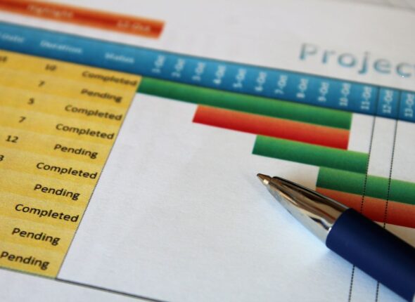 IT Project Management - TGM Pathway